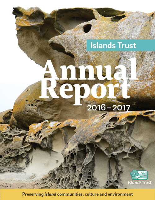 2017 annual report cover