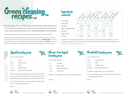 Queen of Green - Green cleaning recipes