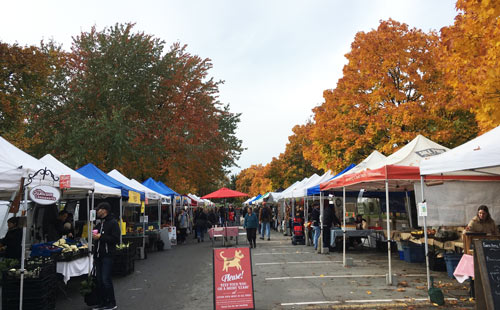 Trout Lake farmers market in the autumn