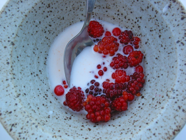 Salmonberries in milk
